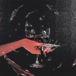 Stop the Party (Toronto Is Broken remix)