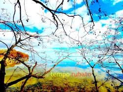 Tempo Rubato