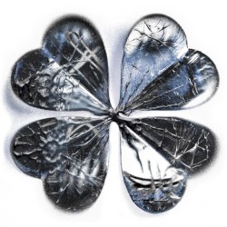 Four Leaf Clover