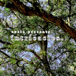 intricacies.