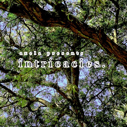 intricacies.