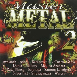 Master Metal 2