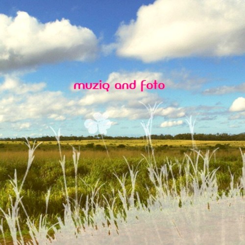Muziq and Foto