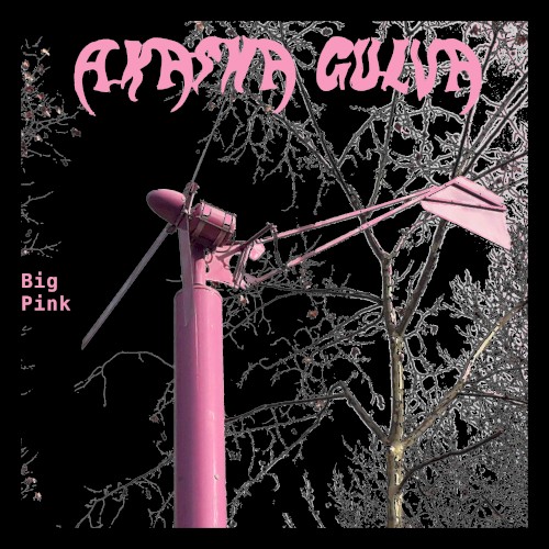 Big Pink