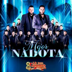 Mejor nadota