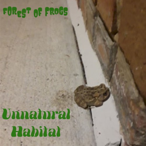 Unnatural Habitat