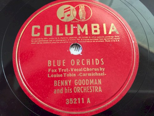 Blue Orchids / What's New?