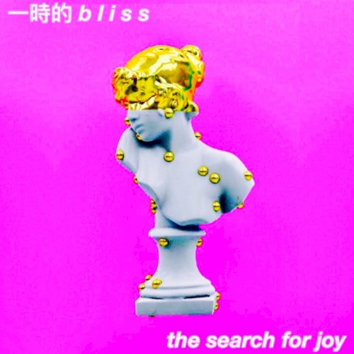 the search for joy