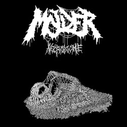 Necrobiome