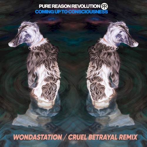 Cruel Betrayal (Wondastation Remix)