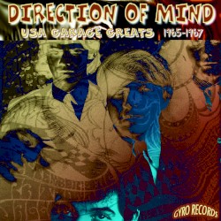 USA Garage Greats 1965-1967: Vol. 134: Direction Of Mind