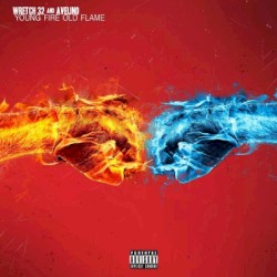 Young Fire Old Flame