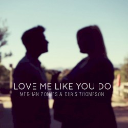 Love Me Like You Do