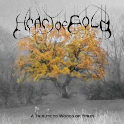 Heart of Gold: A Tribute to Woods of Ypres