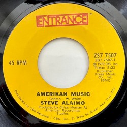 Amerikan Music / Nobody's Fool