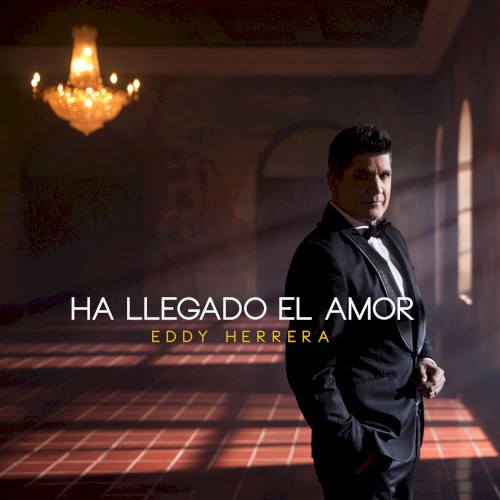 Ha llegado el amor