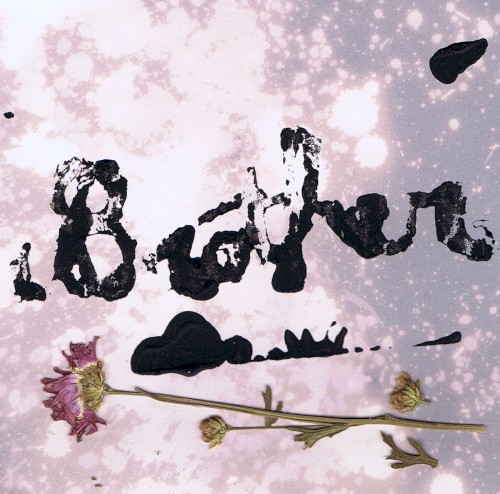 Melting Wax Daisies & The Demoralization of Urban Culture