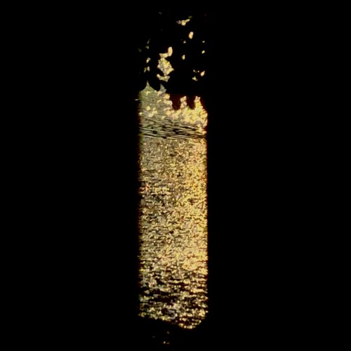Natsu no Aida ni (Mittsommer)