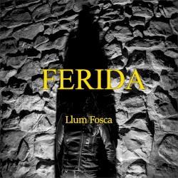 Llum fosca