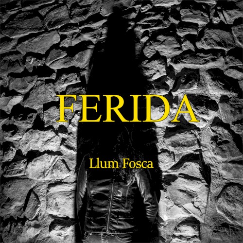 Llum fosca