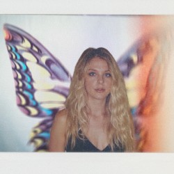 How I Became A Butterfly