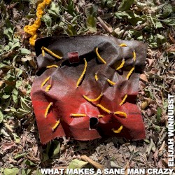 What Makes a Sane Man Crazy