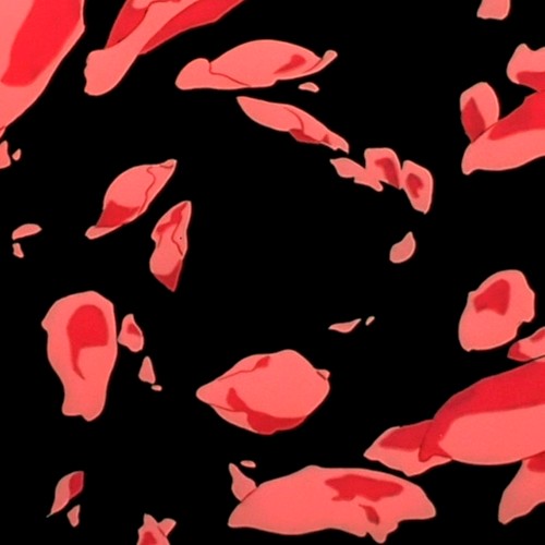Magnetic Rose EP