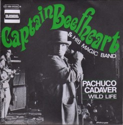 Pachuco Cadaver