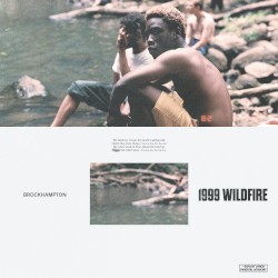 1999 WILDFIRE