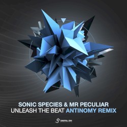 Unleash the Beat (Antinomy remix)