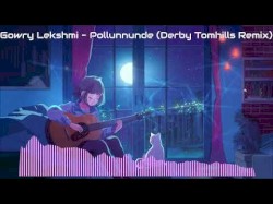 Pollunnunde (Derby Tomhills remix)