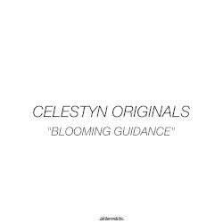 BLOOMING GUIDANCE