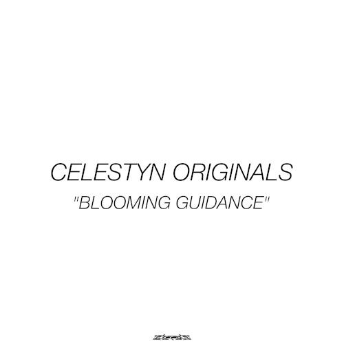 BLOOMING GUIDANCE