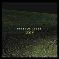 D S P