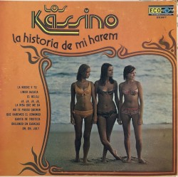La historia de mi harem