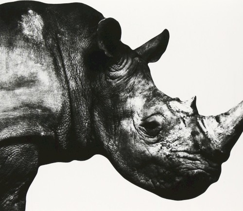 Mr.Children 1992-1995