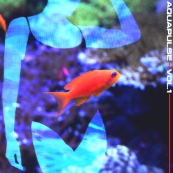 AquaPulse Vol. 1