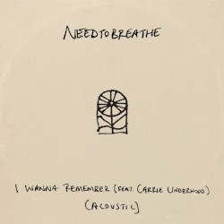 I Wanna Remember (acoustic)