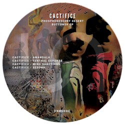 Phosphorescent Desert Buttons EP