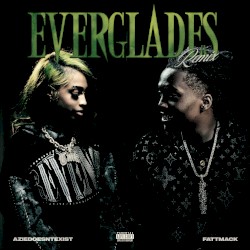Everglades (remix)