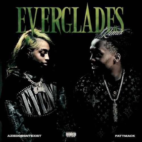 Everglades (remix)