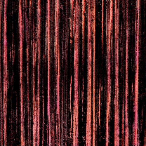Horizon in Magnesium
