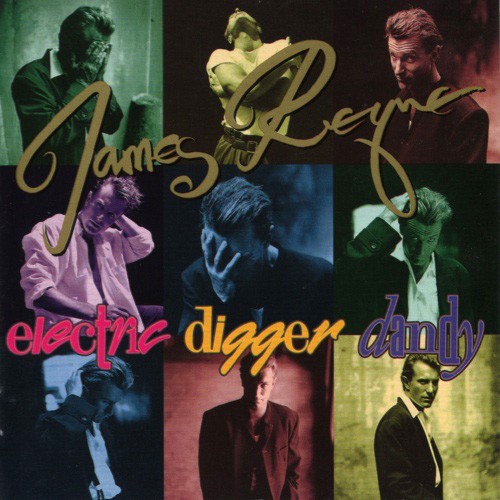 Electric Digger Dandy