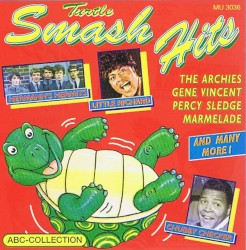 Turtle Smash-Hits