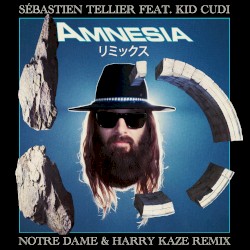 Amnesia (Notre Dame & Harry Kaze remix)