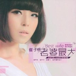 老婆最大DSD