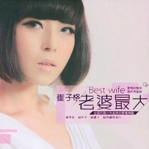 老婆最大DSD