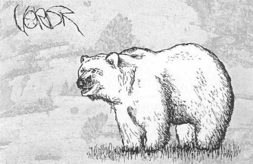 Vordr