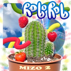 Mizo 2