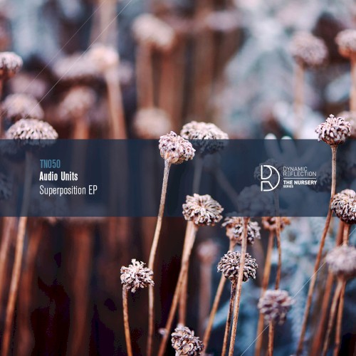 Superposition EP
